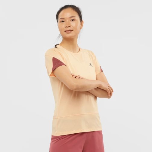 Camiseta Salomon Cross Run Corta Sleeve Mujer Albaricoque | MX ICVL746